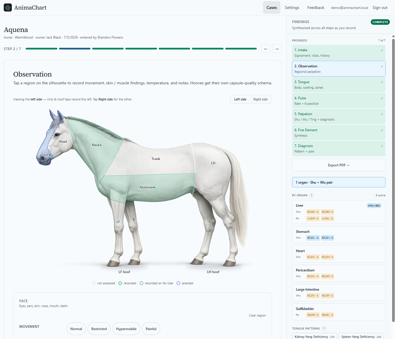 A case open in AnimaChart in a desktop browser: the exam step at full width with the findings panel docked as a right-hand rail.